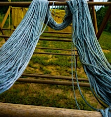 Minnesota Grown Indigo: September Harvest on the Farm primary image