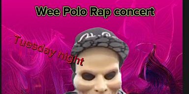 Primaire afbeelding van Wee polo hiphop concert