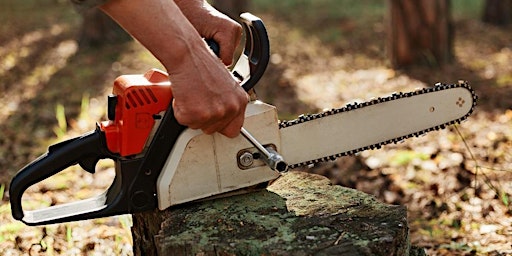 Hauptbild für Chainsaw Safety Training