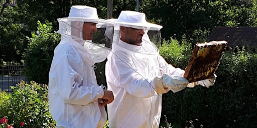 Hauptbild für Von der Biene lernen