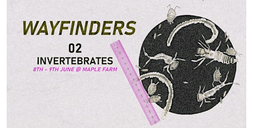 Wayfinders #2: Invertebrates primary image