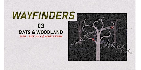 Wayfinders #3: Bats, Badgers & Woodland