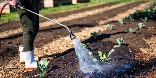 Hauptbild für Irrigation Workshop for Home and Community Gardens