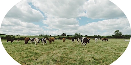 Maximise livestock grazing and nutrition using herbal leys