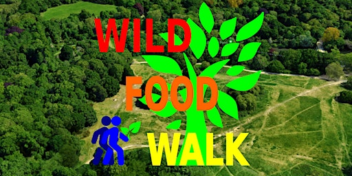 May Hampstead Heath (London) Wild Food Foraging/ Foragers Walk. primary image