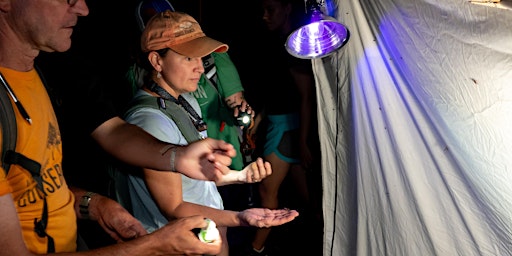 Creatures of the Night: Moth Lighting at Wizard Ranch Nature Preserve primary image