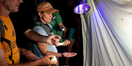 Immagine principale di Creatures of the Night: Moth Lighting at Welsh Mountain Nature Preserve 