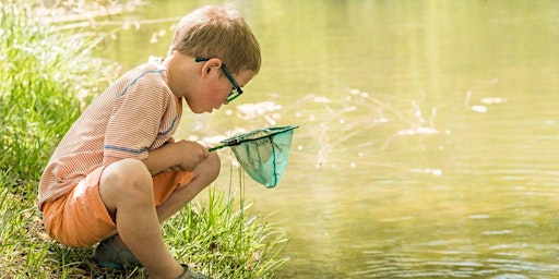 Cranbrook Country Park River Dipping primary image