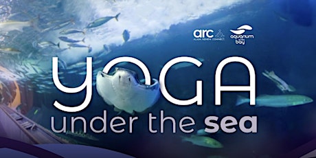 Underwater yoga | Aquarium of the Bay yoga