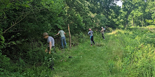 Volunteer Workday: Wizard Ranch Nature Preserve primary image