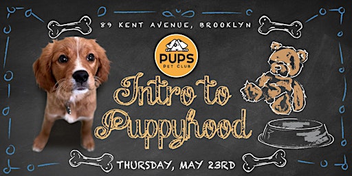 Introduction to Puppyhood primary image