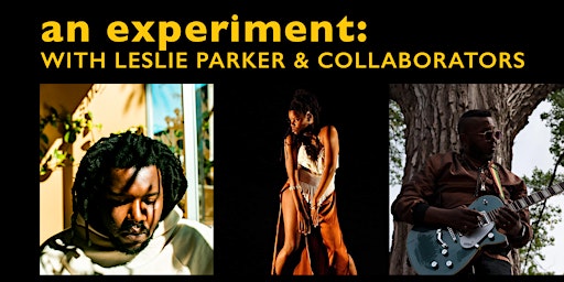 Immagine principale di an experiment: with LESLIE PARKER and Collaborators 