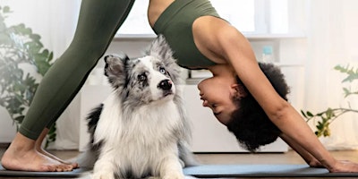 Hauptbild für Puppy Yoga @ Eastdale