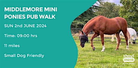MIDDLEMORE MINI PONIES SUNDAY PUB WALK | 11 MILES | DAVENTRY