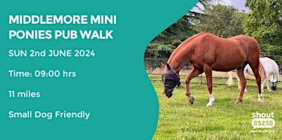 MIDDLEMORE MINI PONIES SUNDAY PUB WALK | 11 MILES | DAVENTRY primary image