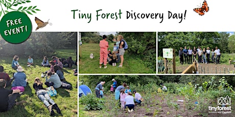 Tiny Forest Community Event at Peckham Rye Park and Common