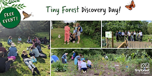 Tiny Forest Community Event at Peckham Rye Park and Common primary image