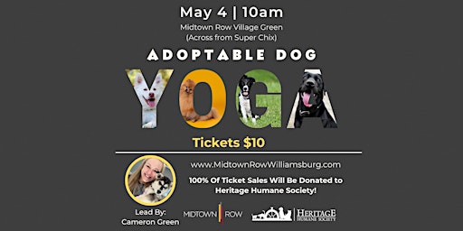 Primaire afbeelding van Adoptable Dog Yoga at Midtown Row: FUNdraiser for Heritage Humane Society