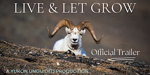 Primaire afbeelding van Sheep Night : Community Fundraiser and Film Launch