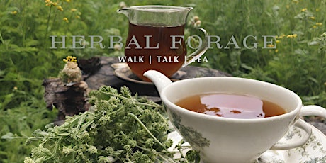 Herbal forage walk, talk and tea!
