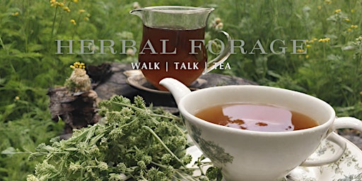 Herbal forage walk, talk and tea! primary image