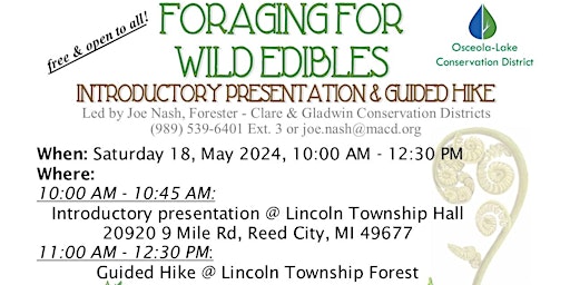 Imagem principal do evento Foraging for wild edibles with Osceola-Lake Conservation District