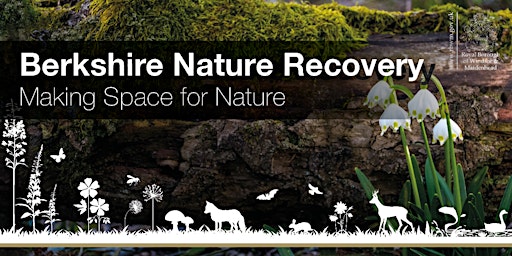 Hauptbild für Berkshire Nature Recovery Strategy - Progress Update Webinar