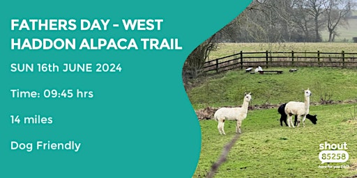 WEST HADDON ALPACAS TRAIL | 4 MILES | MODERATE | NORTHAMPTONSHIRE primary image