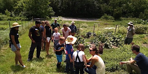 Immagine principale di Intergenerational Wild Food Walk with Lacey Walker 