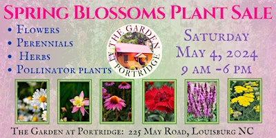Spring Blossoms Plant Sale primary image