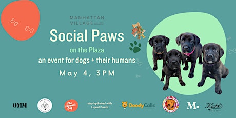 Social Paws on the Plaza at Manhattan Village Shopping Center