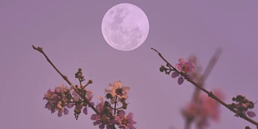 Flower Moon Forest Therapy Night Walk - May 26  primärbild