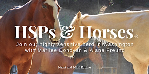 HSPs and Horses (TM): Highly Sensitive People Retreat primary image