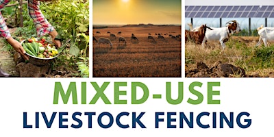 Mixed-Use Livestock Fencing  primärbild