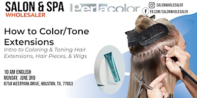 Imagem principal do evento Perlacolor: How to Tone/Color Extensions & Wigs
