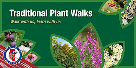Environment and Climate Change:  Lethbridge Traditional Plant Walks