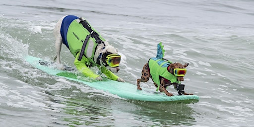 Imagen principal de World Dog Surfing Championships: Entrant Registration for Aug. 3, 2024