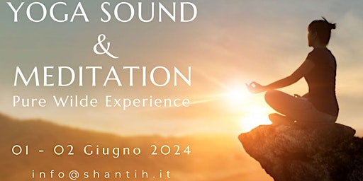 YOGA SOUND & MEDITATION - Pure Wild Experience primary image