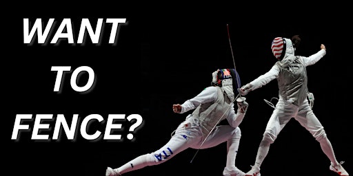 Learn to Fence! primary image
