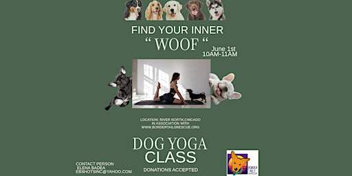Primaire afbeelding van Puppy Yoga Class June 1st