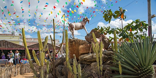 Imagem principal de Festa do Bode Rei em Cabaceiras