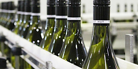 Meet the winemaker of Tinpot Hut winery from New Zealand!