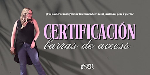 Primaire afbeelding van Certificación Barras de Access
