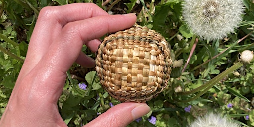 Immagine principale di Crafts & Drafts: Tiny Wonky Dandelion Baskets with Sophia Pappas 
