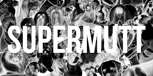 Supermutt - Live at Tranzac primary image