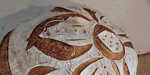Sourdough Start Up! primary image