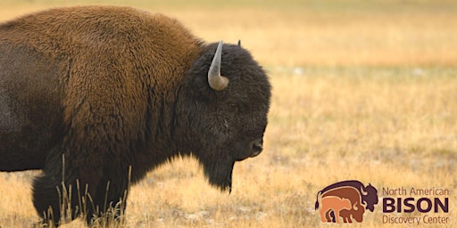 Hauptbild für North American Bison Discovery Center Annual Meeting