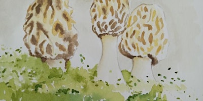 Imagem principal do evento Haley Jula Mushroom Watercolor Class: Adrian