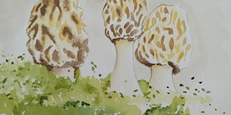 Haley Jula Mushroom Watercolor Class: Adrian