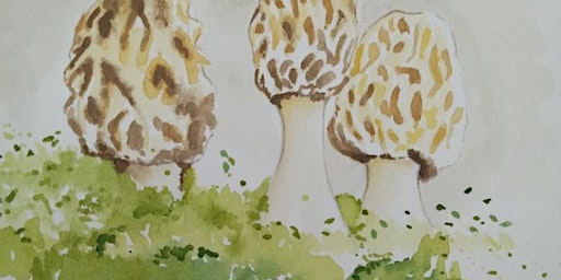 Primaire afbeelding van Haley Jula Mushroom Watercolor Class: Adrian
